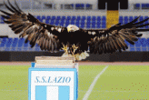 aquila-lazio stadio