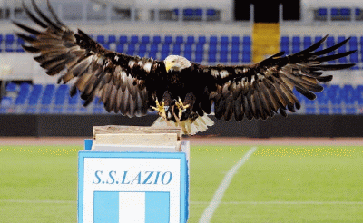 aquila-lazio stadio